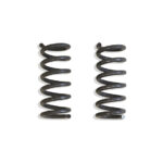 2009-2024 RAM 1500 (5-LUG) 2WD 2" FRONT LOWERING COILS (2DR, V8)